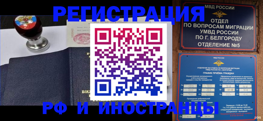 временная регистрация поиск в Козьмодемьянске